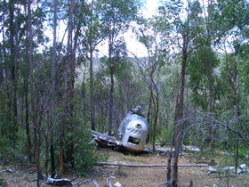 Beautiful Betsy Walk - Tourism Brisbane 0